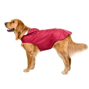 burgundy waterproof rain jacket on golden retriever dog