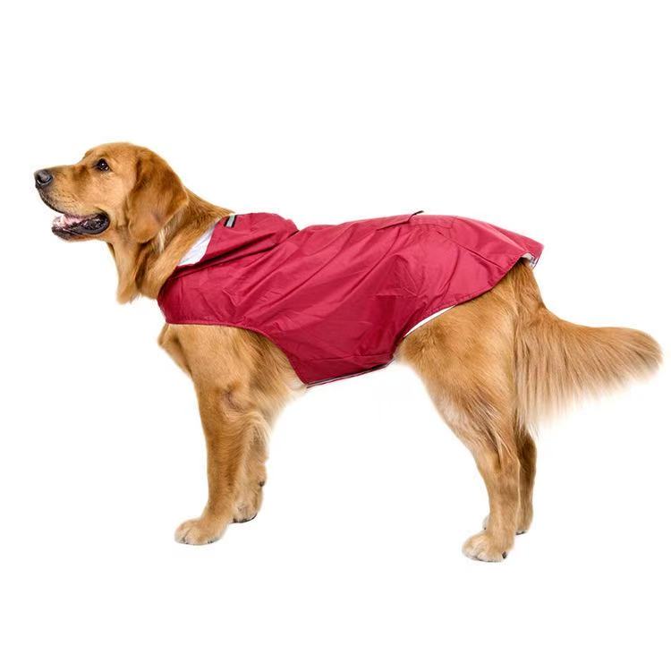 burgundy waterproof rain jacket on golden retriever dog