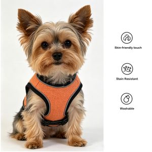 pet harness & leash, collars for cats & dogs, suitable for teddy, kittens and all breeds