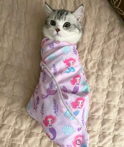 Multi-Purpose Pet Print Self-Adhesive Wrap Cloth – Anti-Scratch Protective Fabric for Pets & Camera Gear Cute mermaid print cat self-adhesive wrap cloth anti-scratch pet bathing recovery fabric